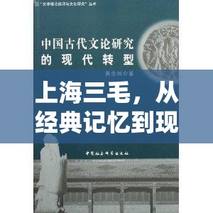 上海三毛，從經(jīng)典記憶到現(xiàn)代轉(zhuǎn)型的深度剖析與未來展望