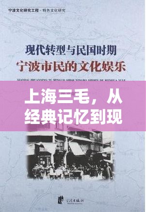 上海三毛，從經(jīng)典記憶到現(xiàn)代轉(zhuǎn)型的深度剖析與未來展望