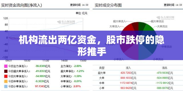 機(jī)構(gòu)流出兩億資金，股市跌停的隱形推手