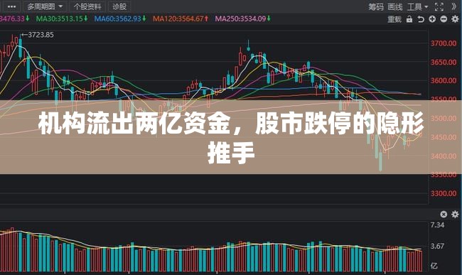 機(jī)構(gòu)流出兩億資金，股市跌停的隱形推手