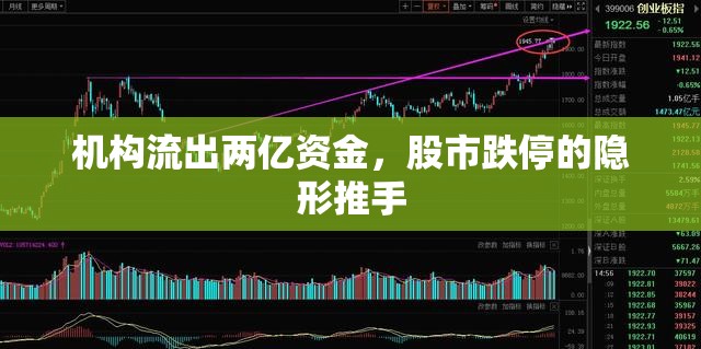 機(jī)構(gòu)流出兩億資金，股市跌停的隱形推手