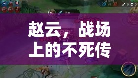 趙云，戰(zhàn)場上的不死傳說，無敵吸血流的傳奇