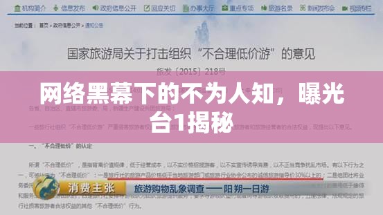 網(wǎng)絡(luò)黑幕下的不為人知，曝光臺(tái)1揭秘