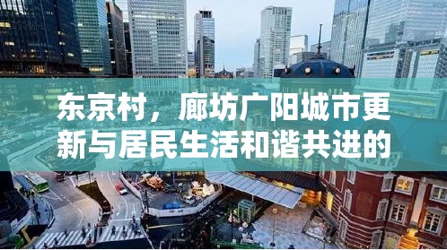 東京村，廊坊廣陽城市更新與居民生活和諧共進(jìn)的新篇章