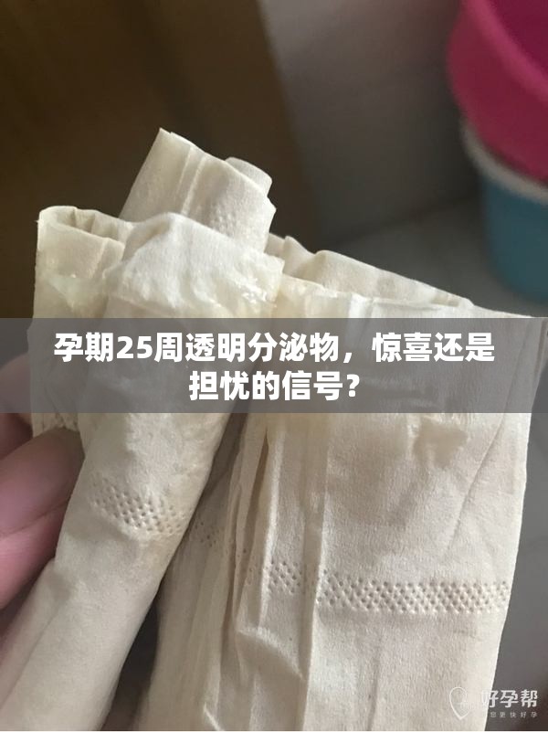 孕期25周透明分泌物，驚喜還是擔(dān)憂的信號？