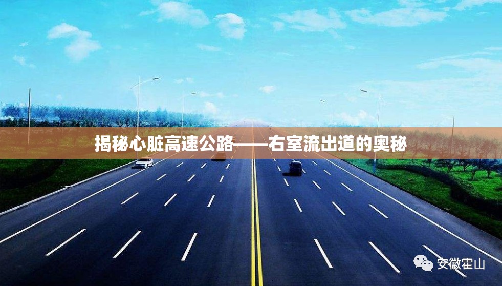 揭秘心臟高速公路——右室流出道的奧秘