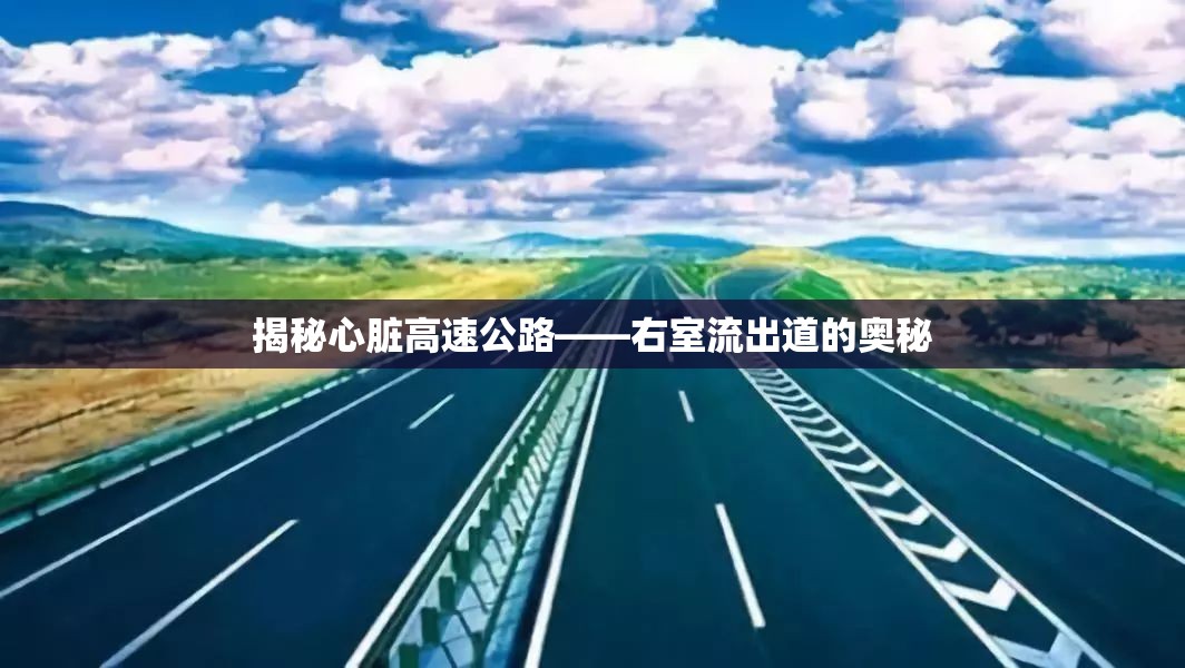 揭秘心臟高速公路——右室流出道的奧秘