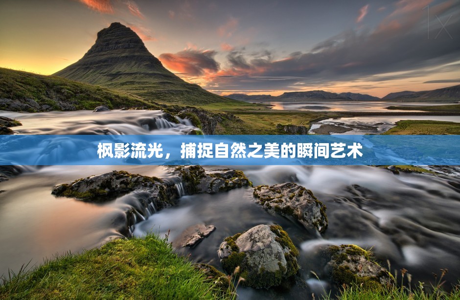 楓影流光，捕捉自然之美的瞬間藝術(shù)