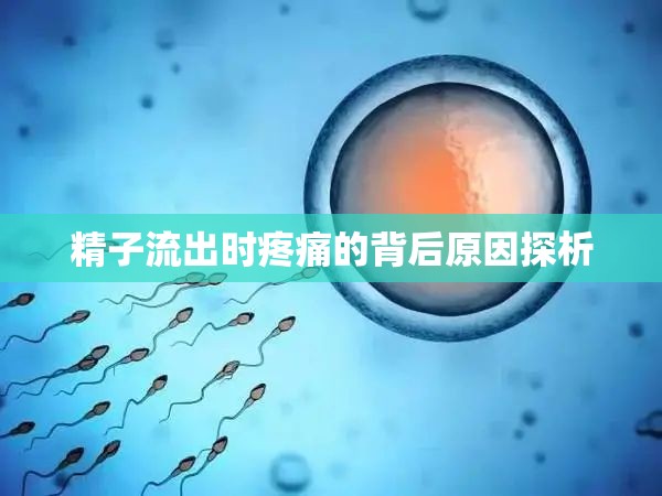 精子流出時(shí)疼痛的背后原因探析