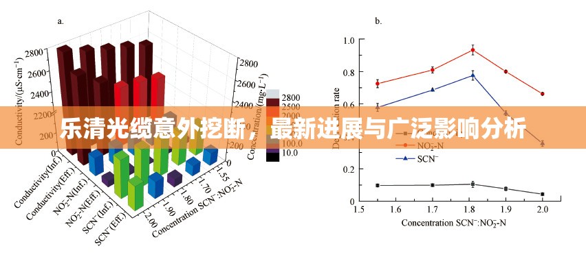 樂清光纜意外挖斷，最新進(jìn)展與廣泛影響分析