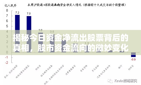 揭秘今日資金凈流出股票背后的真相，股市資金流向的微妙變化