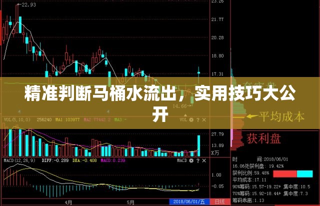 精準(zhǔn)判斷馬桶水流出，實用技巧大公開