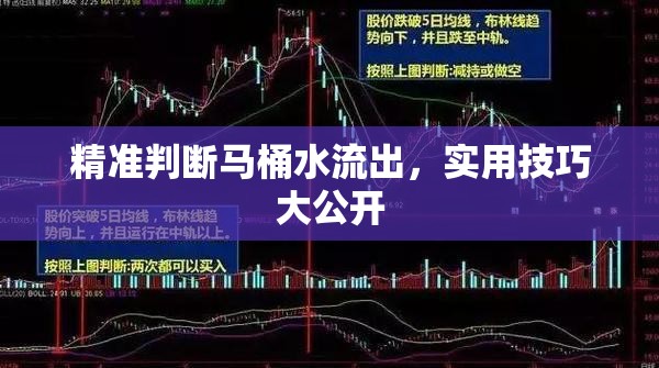 精準(zhǔn)判斷馬桶水流出，實用技巧大公開