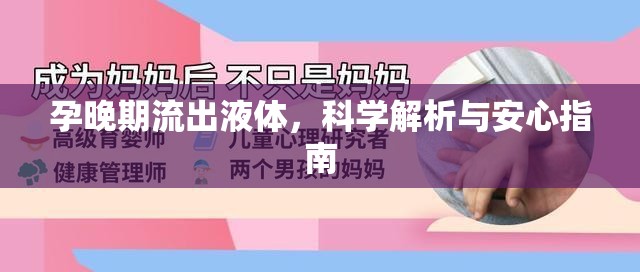 孕晚期流出液體，科學(xué)解析與安心指南