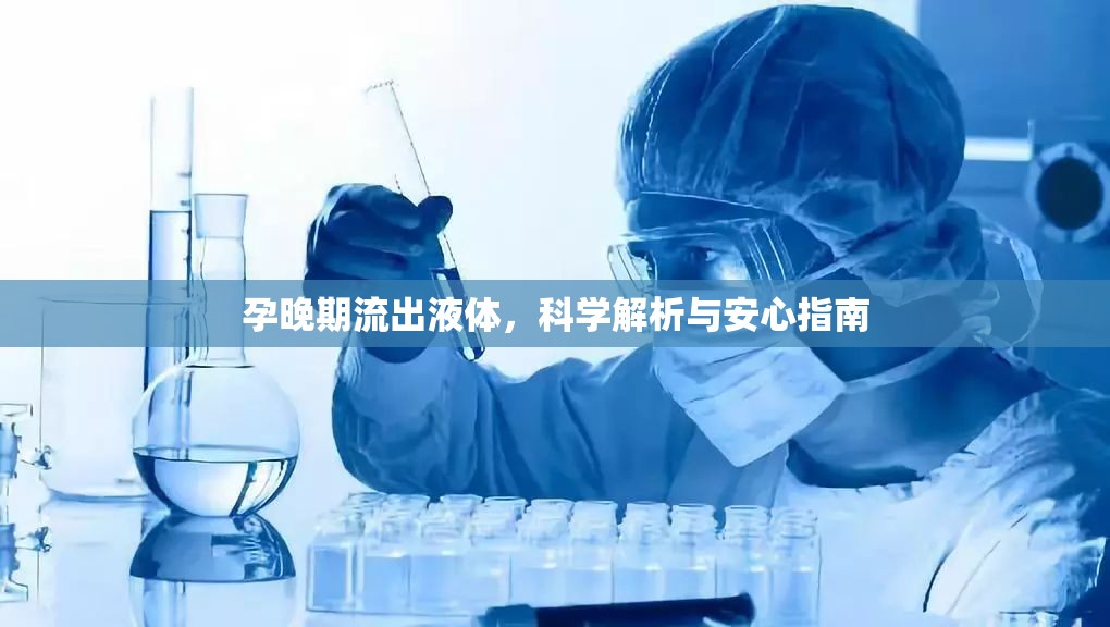 孕晚期流出液體，科學(xué)解析與安心指南