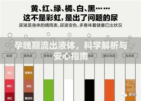 孕晚期流出液體，科學(xué)解析與安心指南