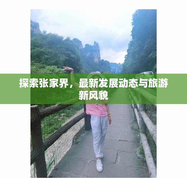探索張家界，最新發(fā)展動(dòng)態(tài)與旅游新風(fēng)貌