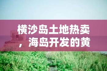 橫沙島土地?zé)豳u，海島開發(fā)的黃金機(jī)遇與未來展望