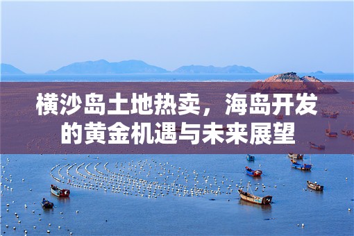 橫沙島土地?zé)豳u，海島開發(fā)的黃金機(jī)遇與未來展望
