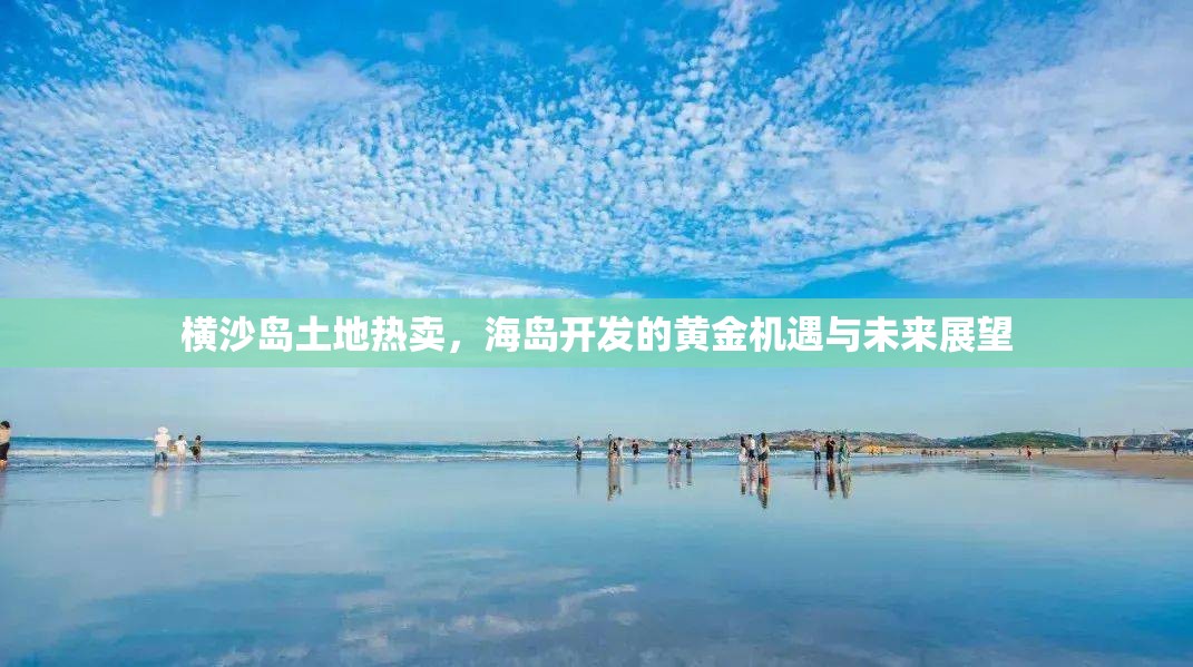 橫沙島土地?zé)豳u，海島開發(fā)的黃金機(jī)遇與未來展望