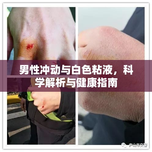 男性沖動(dòng)與白色粘液，科學(xué)解析與健康指南
