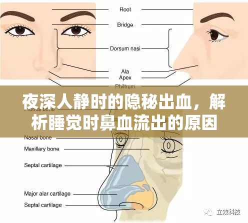夜深人靜時的隱秘出血，解析睡覺時鼻血流出的原因與應(yīng)對策略