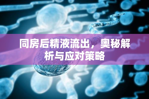 同房后精液流出，奧秘解析與應(yīng)對策略