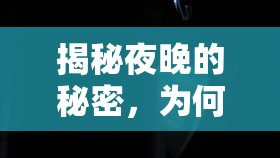 揭秘夜晚的秘密，為何晚上睡覺睜眼會(huì)流出淚來？
