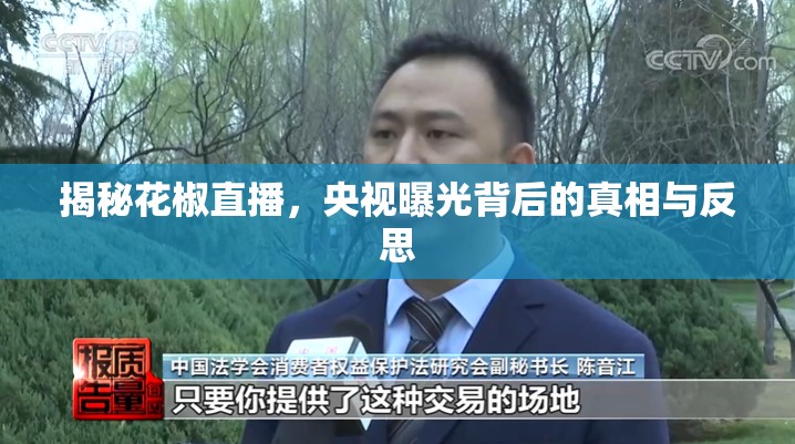 揭秘花椒直播，央視曝光背后的真相與反思