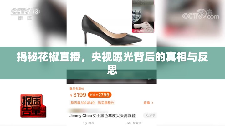 揭秘花椒直播，央視曝光背后的真相與反思