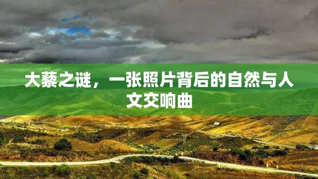 大藜之謎，一張照片背后的自然與人文交響曲