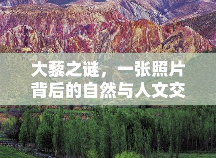 大藜之謎，一張照片背后的自然與人文交響曲