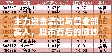 主力資金流出與營業(yè)部買入，股市背后的微妙博弈
