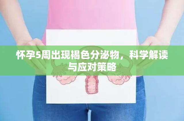 懷孕5周出現(xiàn)褐色分泌物，科學(xué)解讀與應(yīng)對策略