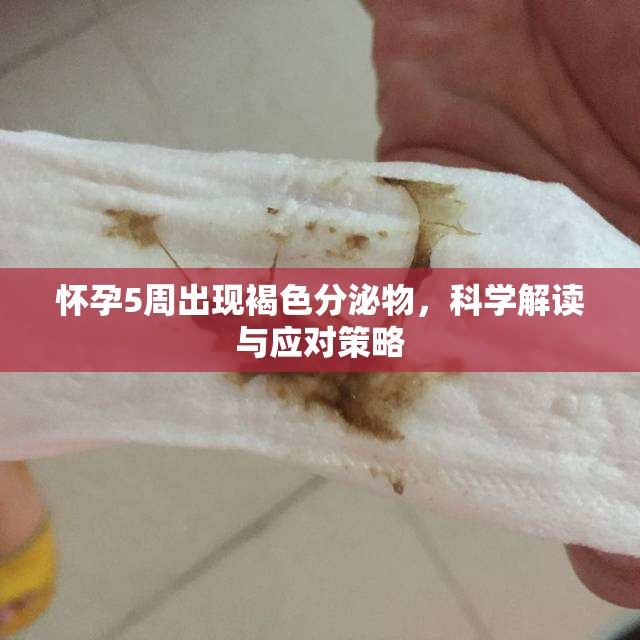 懷孕5周出現(xiàn)褐色分泌物，科學(xué)解讀與應(yīng)對策略