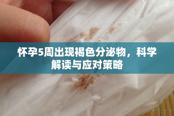 懷孕5周出現(xiàn)褐色分泌物，科學(xué)解讀與應(yīng)對策略