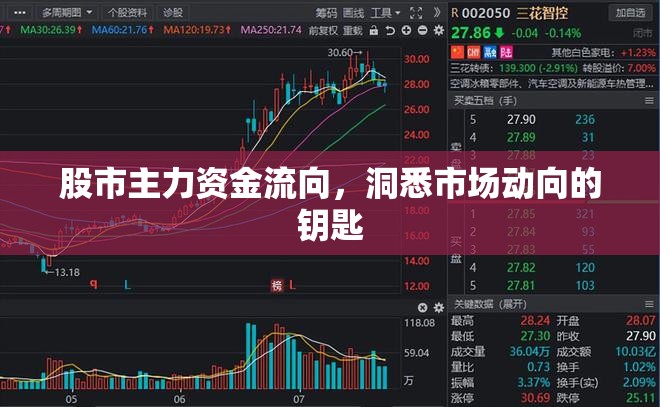 股市主力資金流向，洞悉市場(chǎng)動(dòng)向的鑰匙