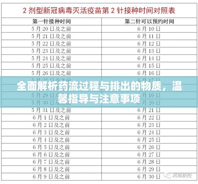 全面解析藥流過程與排出的物質(zhì)，溫馨指導(dǎo)與注意事項