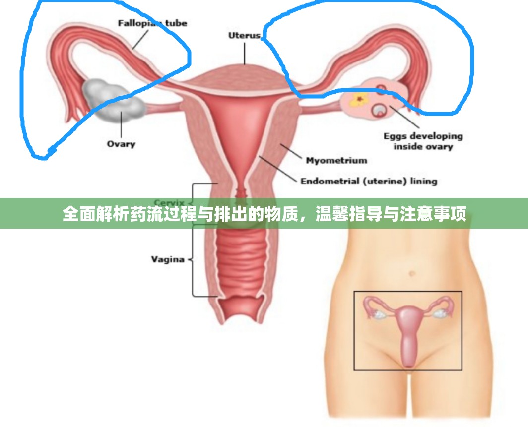全面解析藥流過程與排出的物質(zhì)，溫馨指導(dǎo)與注意事項