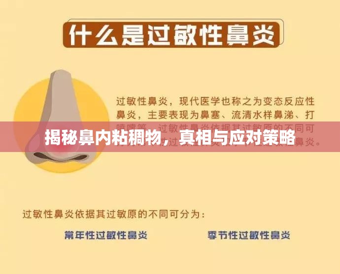 揭秘鼻內粘稠物，真相與應對策略
