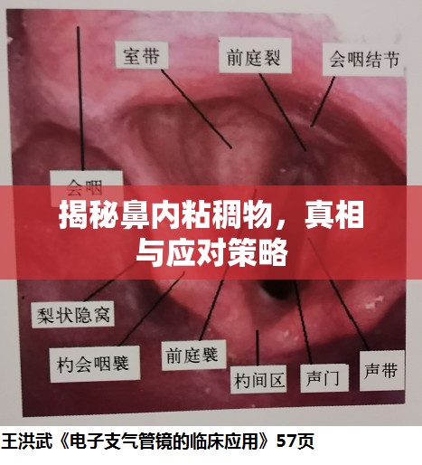 揭秘鼻內粘稠物，真相與應對策略
