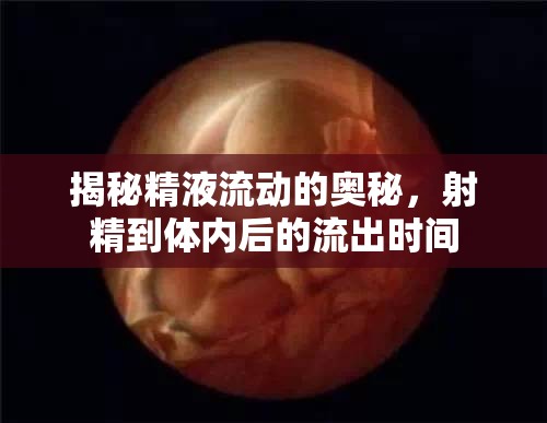 揭秘精液流動(dòng)的奧秘，射精到體內(nèi)后的流出時(shí)間