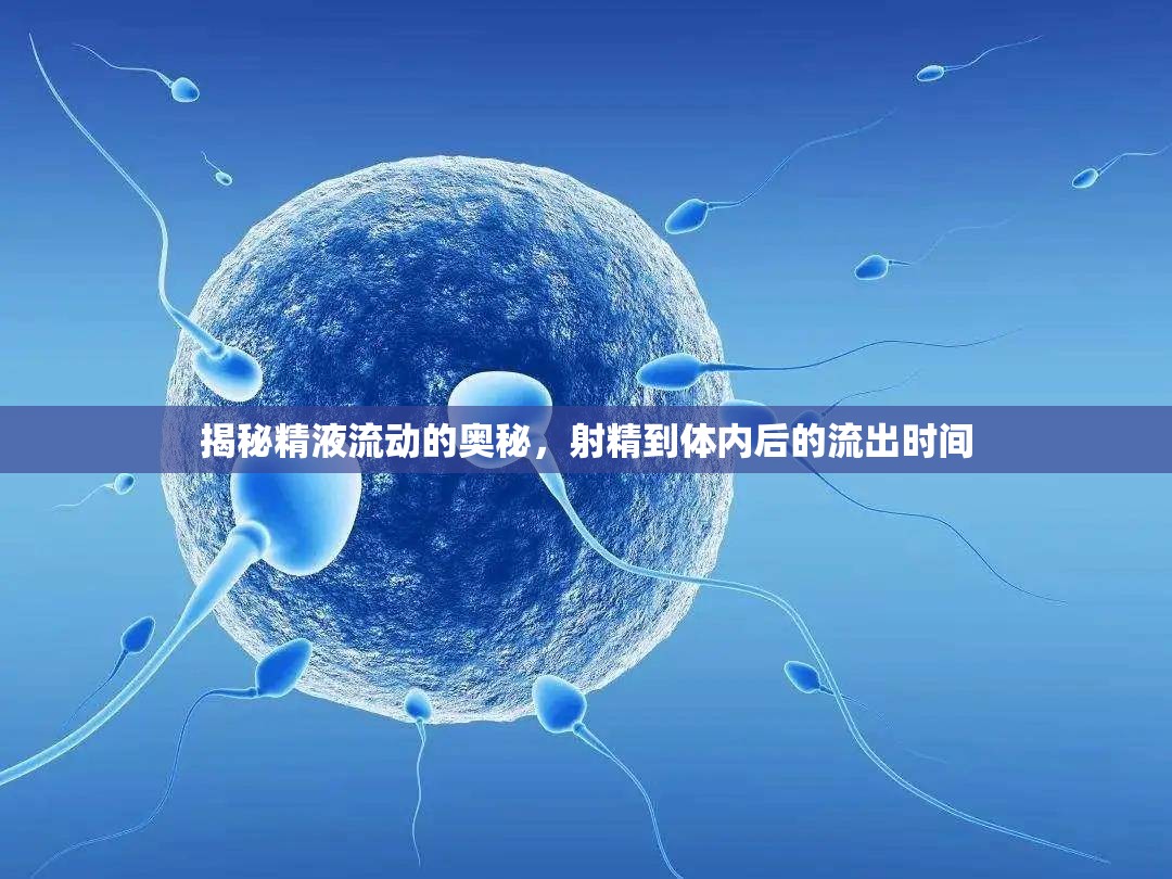 揭秘精液流動(dòng)的奧秘，射精到體內(nèi)后的流出時(shí)間