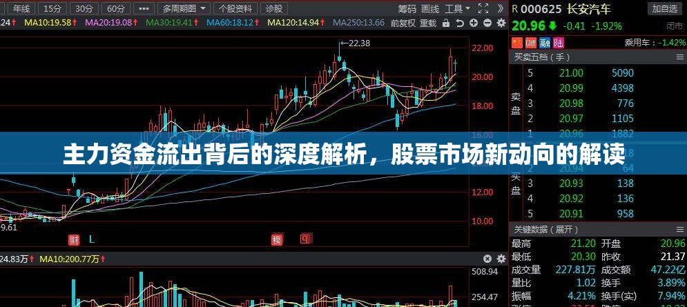 主力資金流出背后的深度解析，股票市場(chǎng)新動(dòng)向的解讀