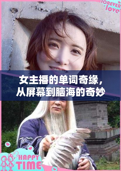 女主播的單詞奇緣，從屏幕到腦海的奇妙旅程