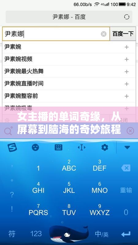 女主播的單詞奇緣，從屏幕到腦海的奇妙旅程