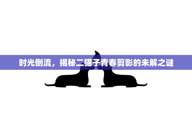 時(shí)光倒流，揭秘二貓子青春剪影的未解之謎