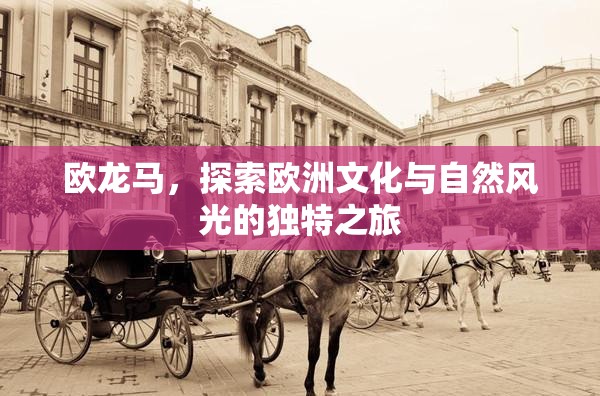 歐龍馬，探索歐洲文化與自然風(fēng)光的獨(dú)特之旅