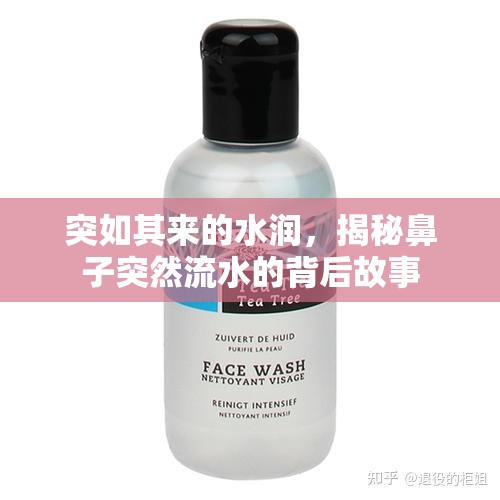 突如其來的水潤，揭秘鼻子突然流水的背后故事