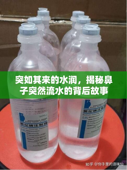 突如其來的水潤，揭秘鼻子突然流水的背后故事